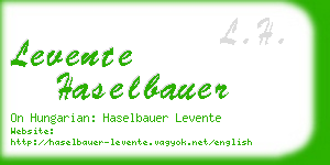 levente haselbauer business card